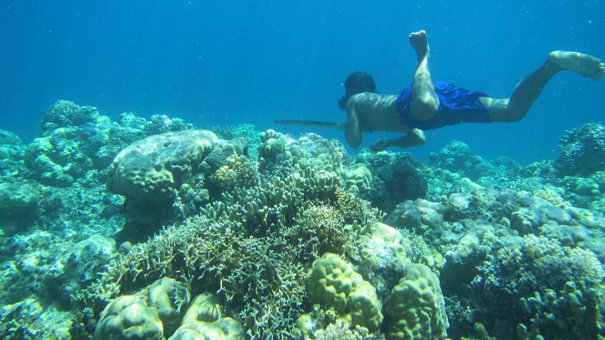 The Bajau subsist by gathering shellfish on the sea floor.