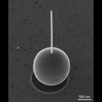 HIM image of W needle grown on Au sphere (Frances Allen, UC Berkeley)