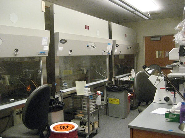 Stem Cell Culture Room