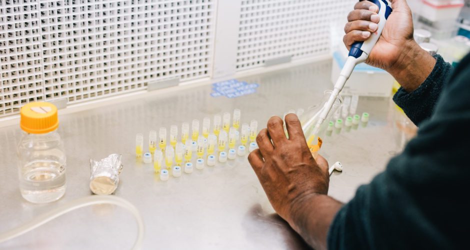 A researchers hands are seen pipetting in a hood.