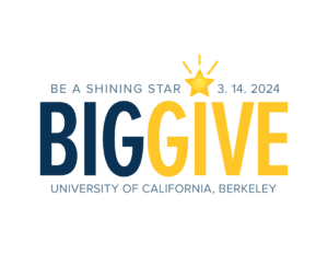 Big Give 2024 decorative logo