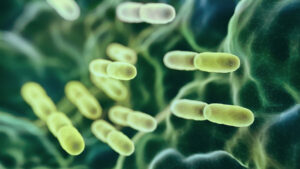 Abstract Lactobacillus Bulgaricus Bacteria