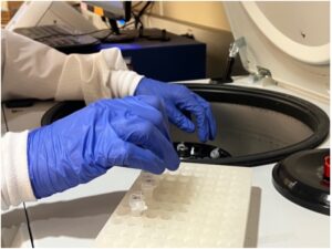 A pair of gloved hands performs RNA sample extraction in the centrifuge.