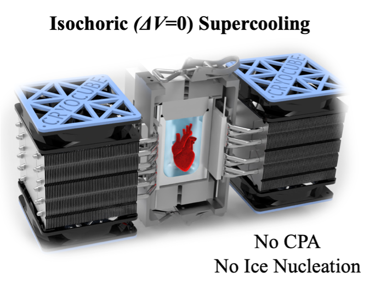 Figure of a rough schematic of isochoric supercooling chamber.