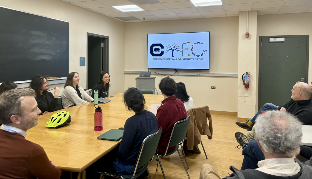 A group of researchers sits around a table and looks at logos for CTEG during a CTEG seminar. 