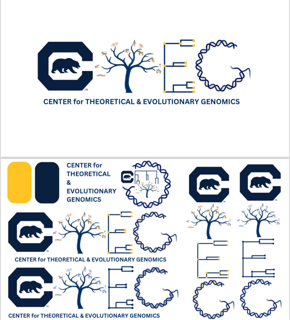 Several different mockups of a logo design for CTEG on a white background. 